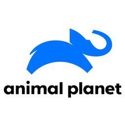 $Animal Planet